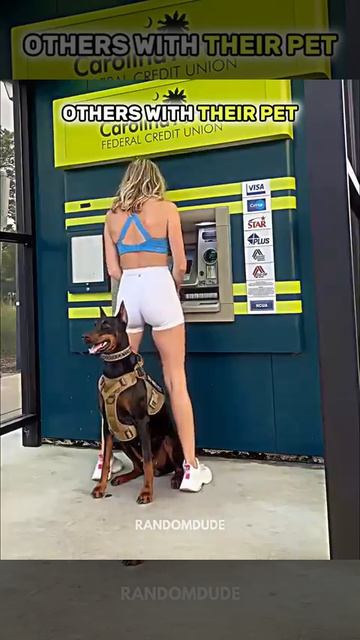 ПРИКОЛ!!