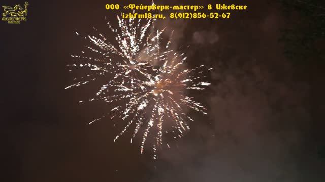 №21 2015 Свадьба Паркин