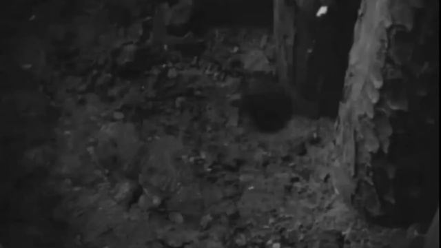 1914   The Hundred Days Offensive Music Video