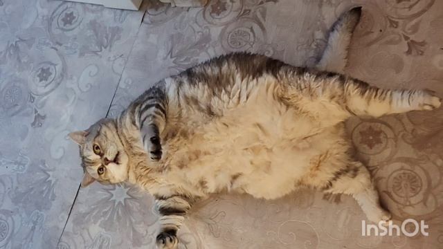Доброе утро от команды