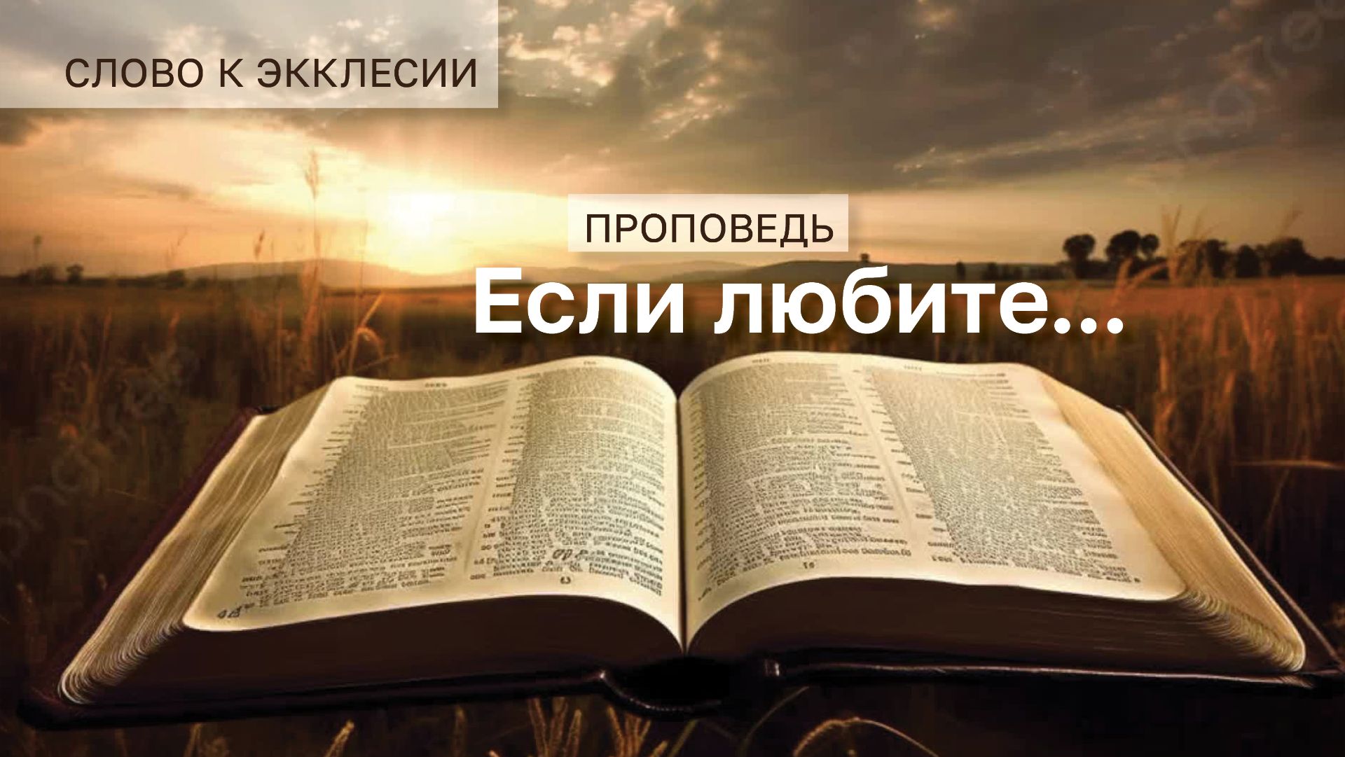 Проповедь. Если любите...