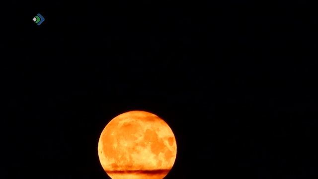 Осетровую луну смогут наблюдать жители Коми уже на этой неделе