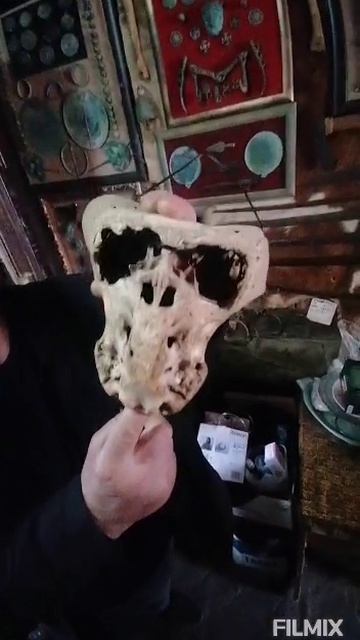 флора и фауна