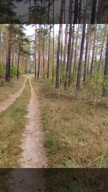 прогулка