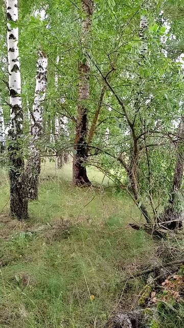 Привал после трудного дня