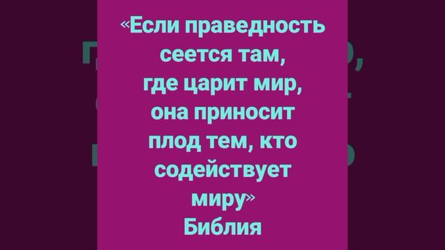 YouCut_20260824_225558529.mp4