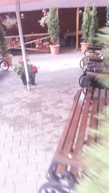 MOV_20260825_233603_299.mp4