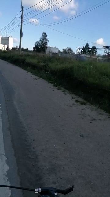 ЛЕН.ОБЛАСТЬ_260826_...КОТИКИ И СИНЬКА - 3ЛО -- (A)3_N-S(0)F...(8)