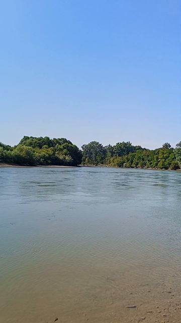 Речка,отдых 🏖️ ☀️💦🌳 #влоги #отдыхречка