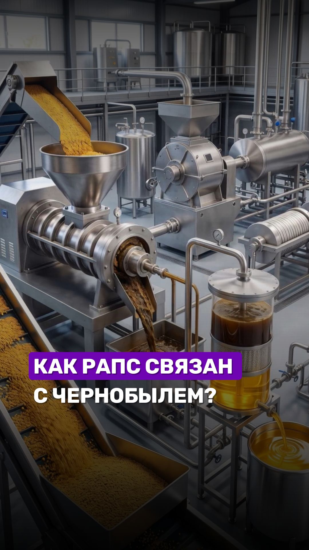🤔Как рапс связан с Чернобылем? #беларусь1 #чернобыль #чаэс #беларусь
