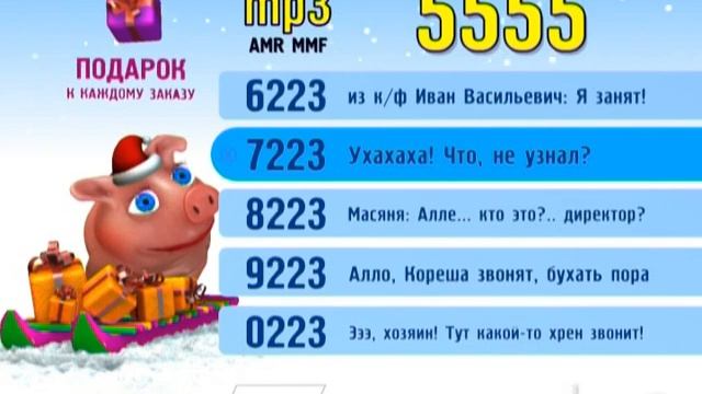 Year Of The Pig