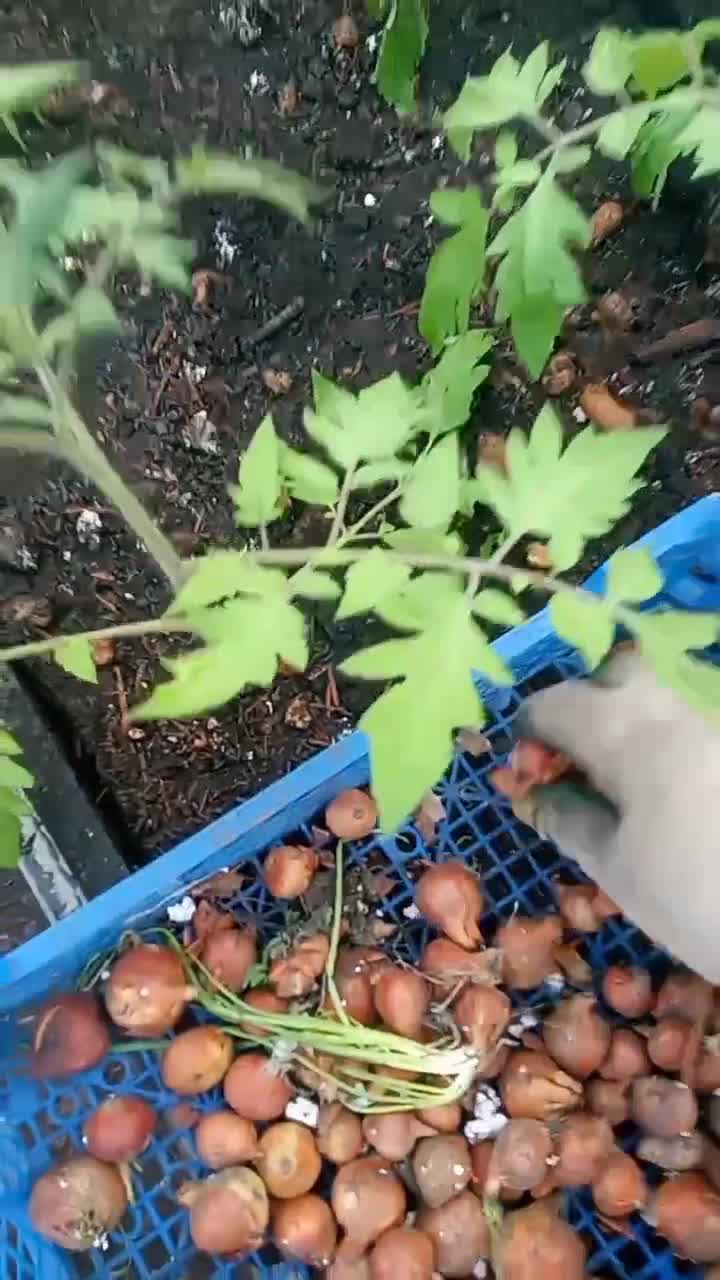 Глаза боятся а руки делают!!!
