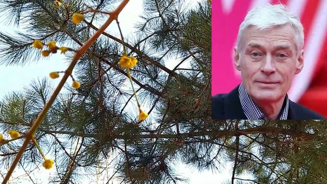 Детектив на все руки. Утром проснутся не все 1-4 серия 2023 дата выхода