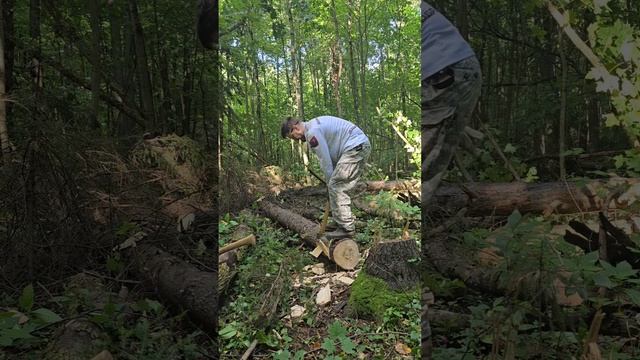 16.08.26 ПОРУБАС (4)