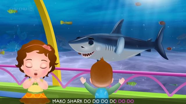 Малыш Акула - Большая белая акула - Учим названия акул для детей - ChuChuTV детские потешки и песни