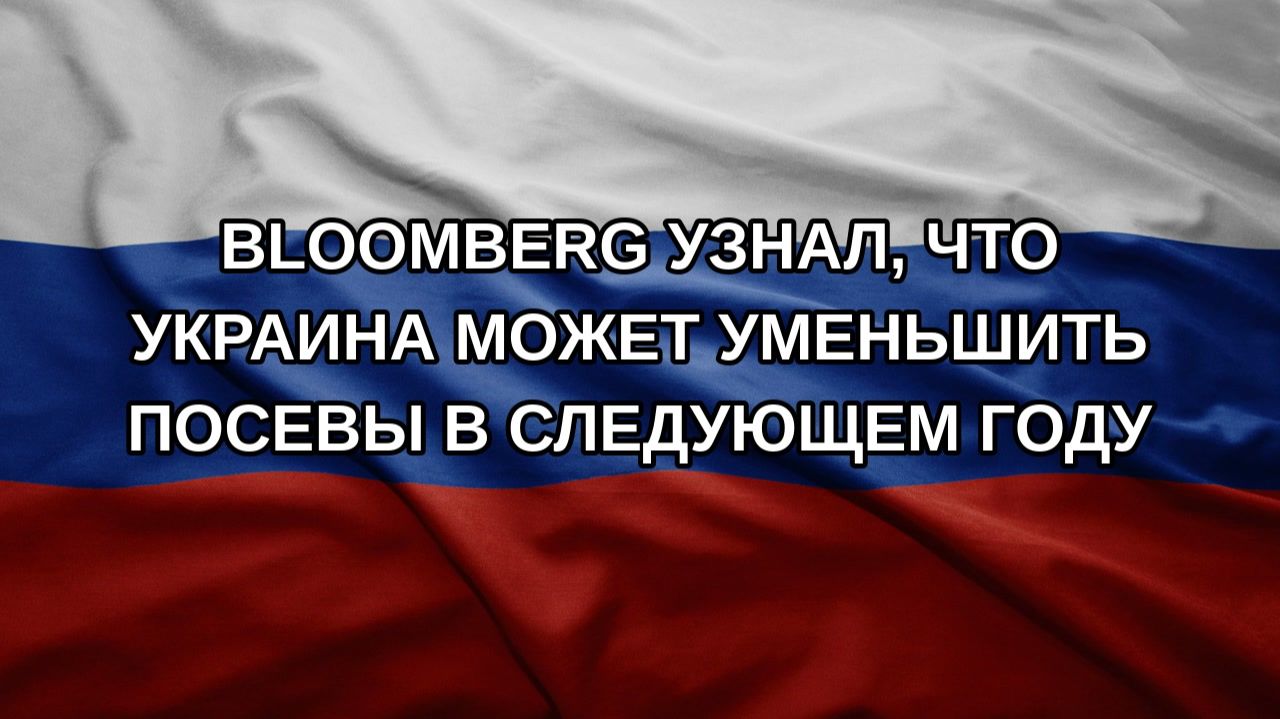 Bloomberg узнал, что Украина может уменьшить посевы в следующем году