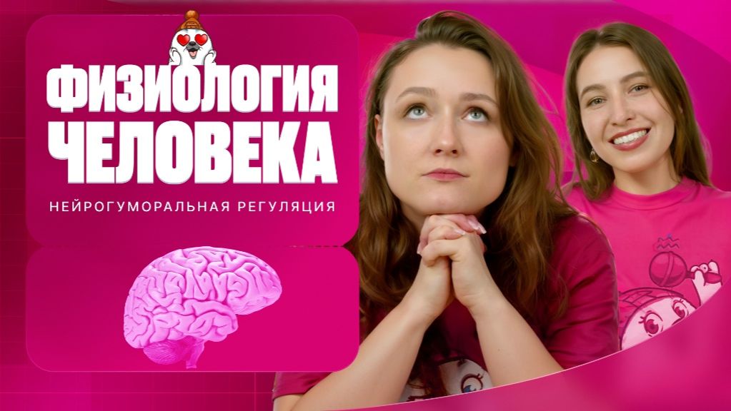 Физиология человека. Нейро-гуморальная регуляция | Вспомнить всё | ЕГЭ-2025 с Биологическим Тюленем