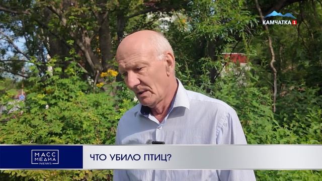 ЧТО УБИЛО ПТИЦ?