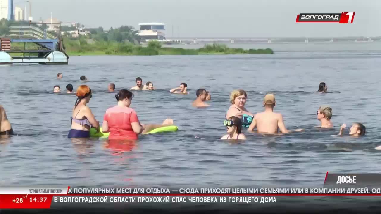 LIVE: Волгоград 1