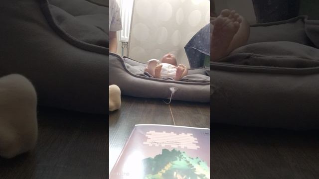 СНОВО ЕДЕМ НА ПРИВИВКУ С БАСИКОМ И СОФИЕЙ
