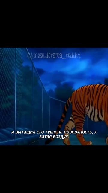 я переродился толстым тигром в зоопарке