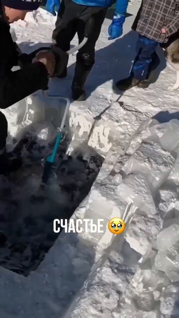 Когда создал свой бренд походной бани!  #shibargan #твоябанька