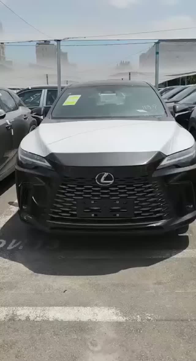 Lexus RX300
