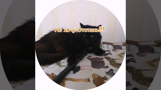 Отдай палку 🤣