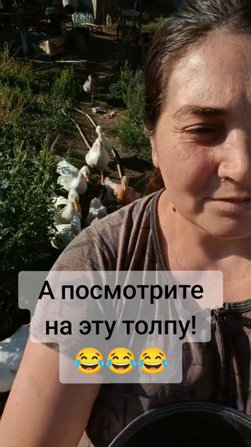 А кто бегает за вами?