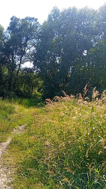Отдыхаем от городской суеты 🤗☀️🌳👀 #отдых #природа #станица