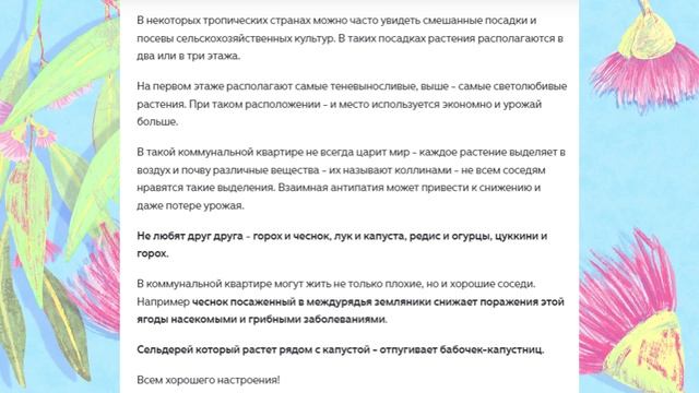 На грядке - коммунальная квартира