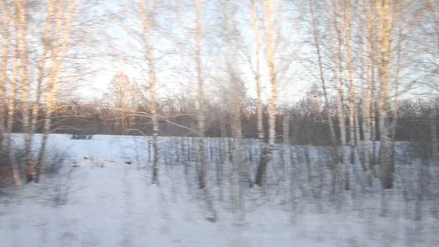 Едем в Лушниково