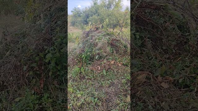 Клубника сохнет... Жесть. 
Поэтому, заботится о другой✅