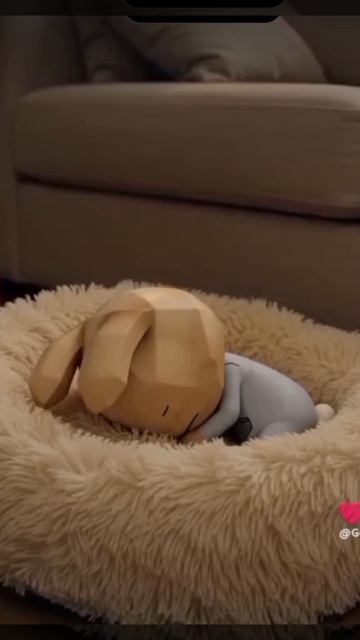 милое видео