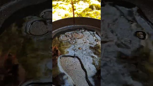 Рёбра. Необычный рецепт