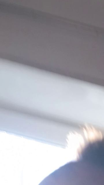 1000107562.mp24Море