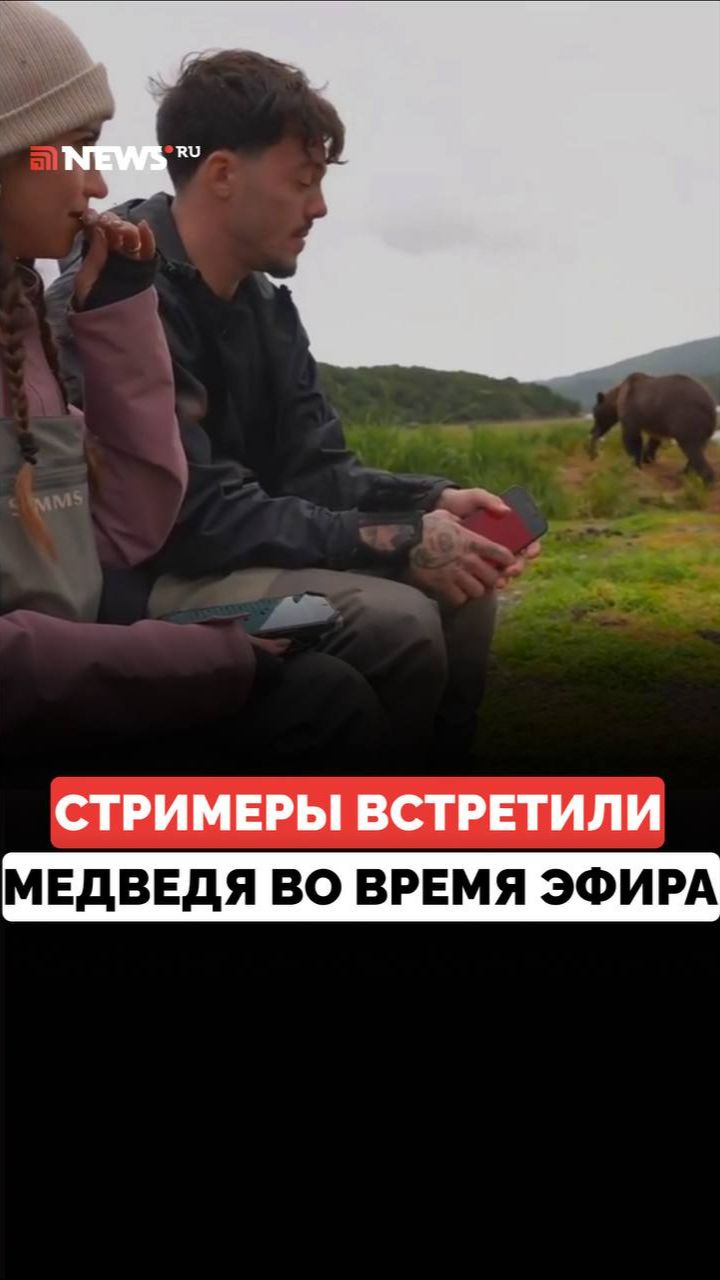 «Я думал, что все кончено»: стримеры встретили медведя во время прямого эфира