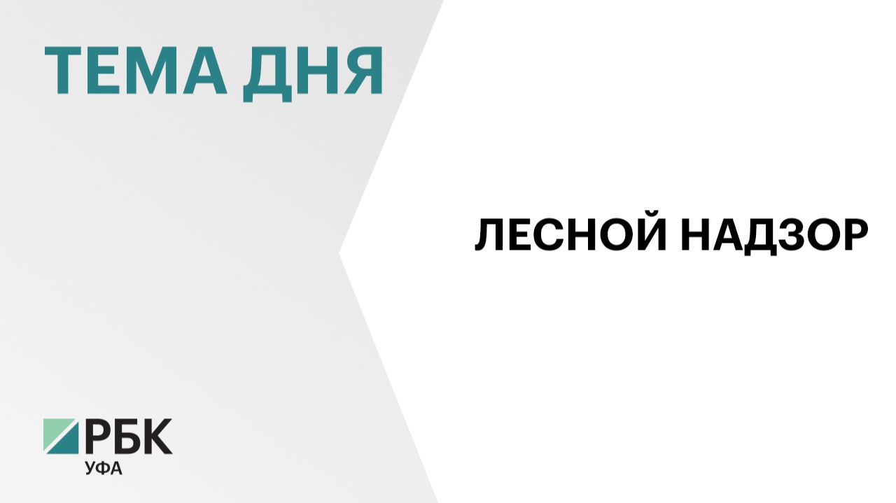 В Башкортостане возбудили дело о незаконной рубке леса на ₽21 млн