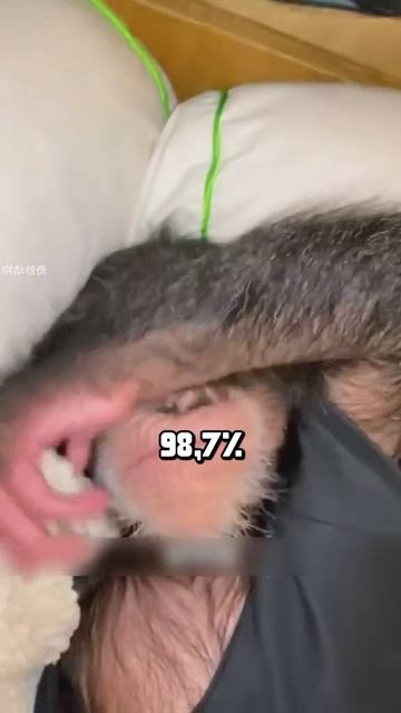 Я люблю всех животных😇