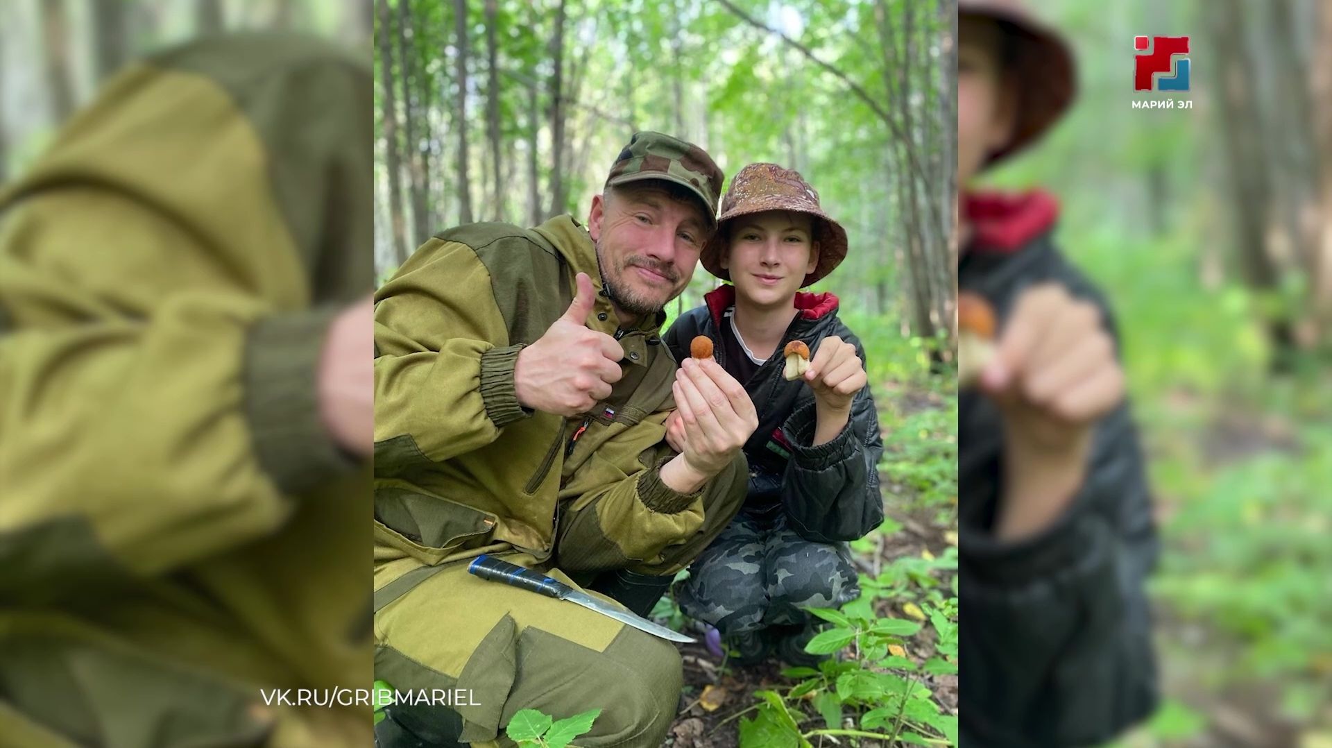 В лесах Марий Эл пошли белые грибы — сезон, по словам грибников, не самый удачный