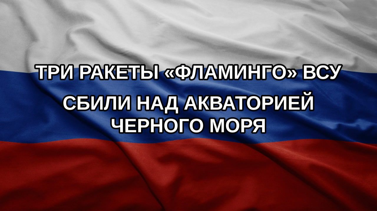 Три ракеты «Фламинго» ВСУ сбили над акваторией Черного моря