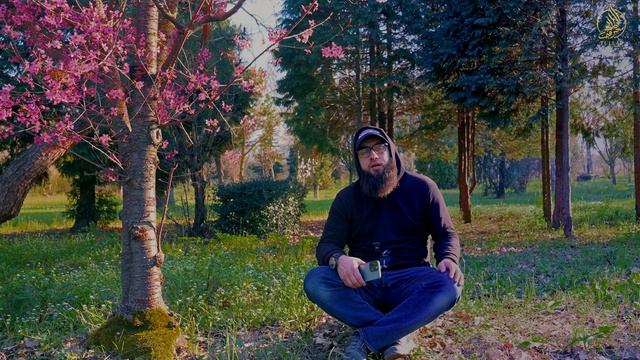 ХАДИС О РАЕ И КРАСОТЕ ЕГО ОБИТАТЕЛЕЙ | Марат абу Амин