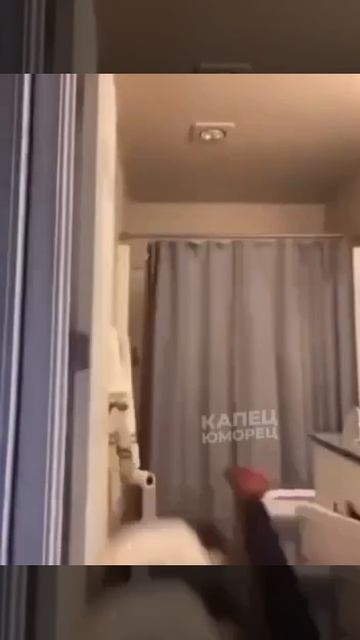 Женщины – это случайно выжившие девочки 😅😅😅