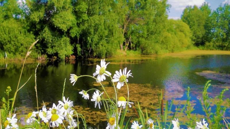 Монастырь   моей    души.  Автор слов Любовь Малинина-Фоменкоклипмейкер -Людмила  Бурачевская AI
