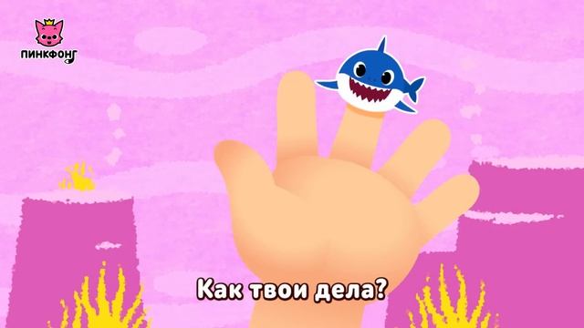 Акулы на Пальчиках  Пойте с Акулёнком  Пинкфонг Песни для Детей
