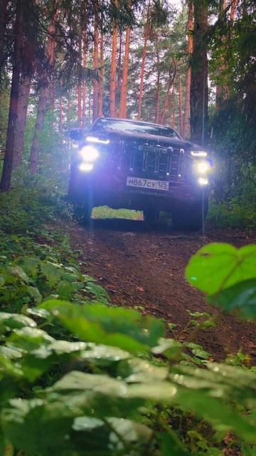 Ну а мы снова снимаем внедорожку💪 #Sollers #ST9  #Dven #авто #car #offroad #автогода