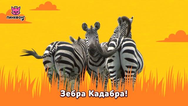ЗЕБРА | Песни про Животных | Пинкфонг Песни для Детей