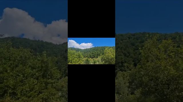 1000415958.mp4