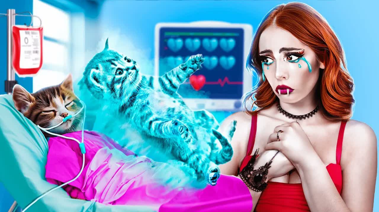 Спасли маленького котенка! Вампиры построили тайную комнату для животных!