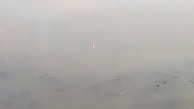 Ловля карася на донку и удочку!!!!